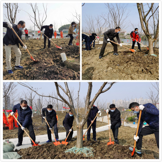 領(lǐng)導(dǎo)植樹(shù)拼圖PS.jpg 領(lǐng)導(dǎo)植樹(shù)拼圖PS.jpg